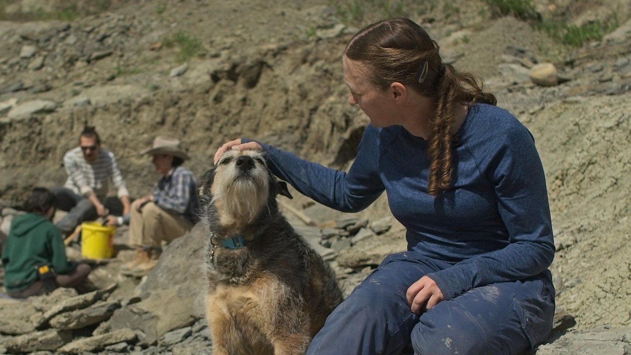  Pas profesorke Bemfort Aster na straži 