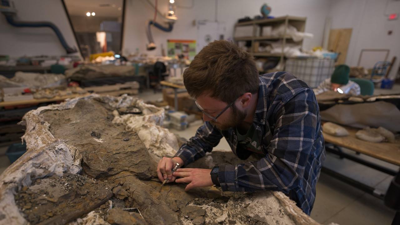 Džekson Sveder radi na lobanji „Velikog Sema” u potrazi za novim saznanjima o ovom drevnom svetu