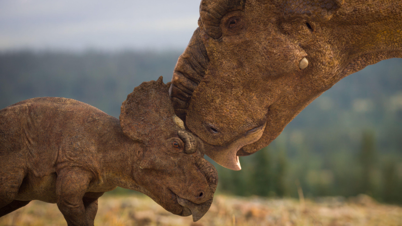 Veruje se da je krdo verovatno uništeno u prirodnoj katastrofi