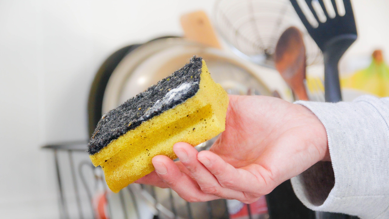 sunđer, sunđer za sudove, kuhinjski sunđer