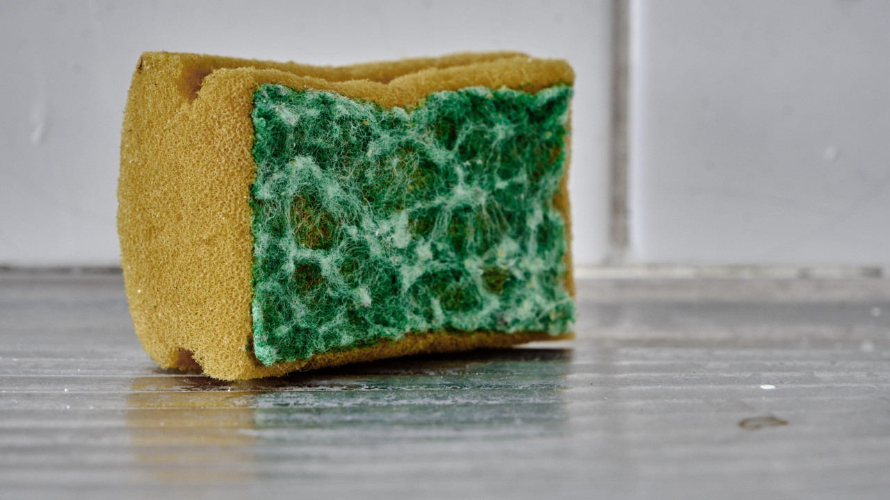 sunđer, sunđer za sudove, kuhinjski sunđer