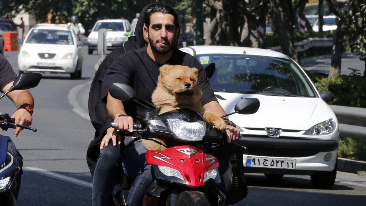 Iranski par na motoru vozi psa, Teheran 2022.