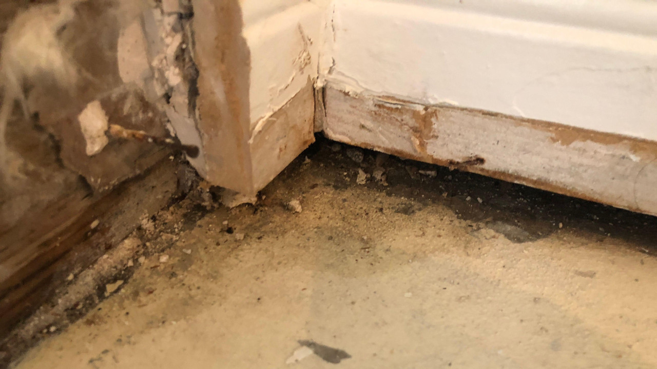 Buš u uglovima i zidovima 