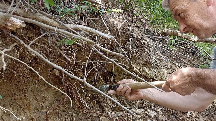 Miloš Milivojević u potrazi za fosilima dinosaurusa kraj Pirota