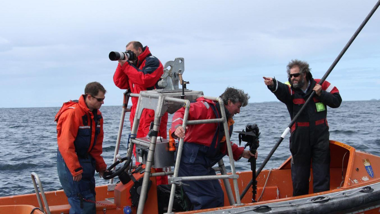 Četiri istraživača iz čamca posmatraju kitove kod norveškog Arktika. Nose odeću visoke vidljivosti i imaju kamere, dvogled, a jedan ima ogromnu šipku koja se koristi za stavljanje vakuumske kape na kitove.