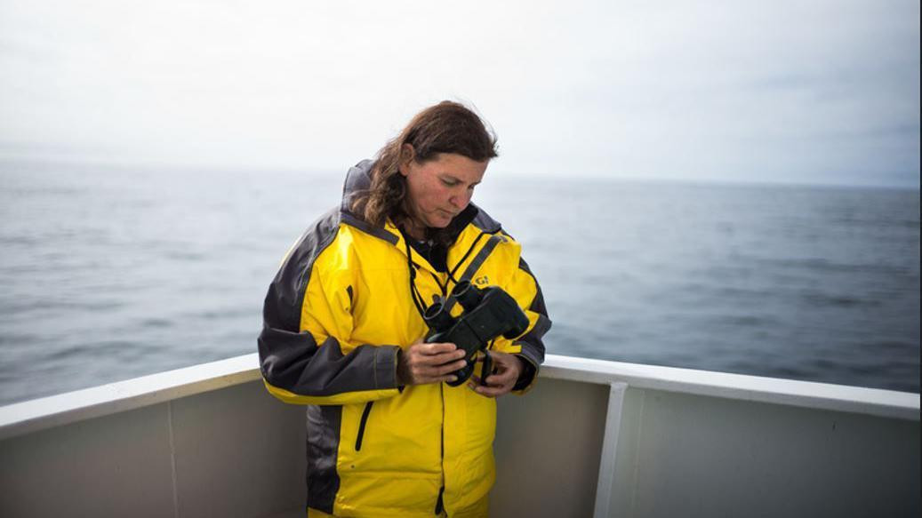 Lindi Vajlgart u jarko žutoj jakni stoji blizu pramca čamca i gleda u svoj dvogled. U pozadini se vidi arktička voda nežno obasjana suncem.