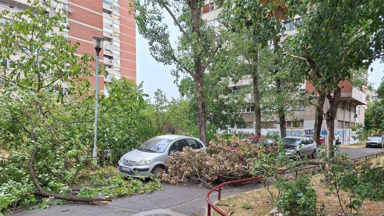 Grane su se obrušile na parkirana vozila