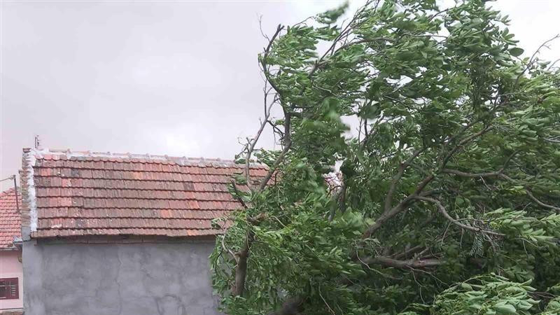 Selo Ilandža u opštini Alibunar