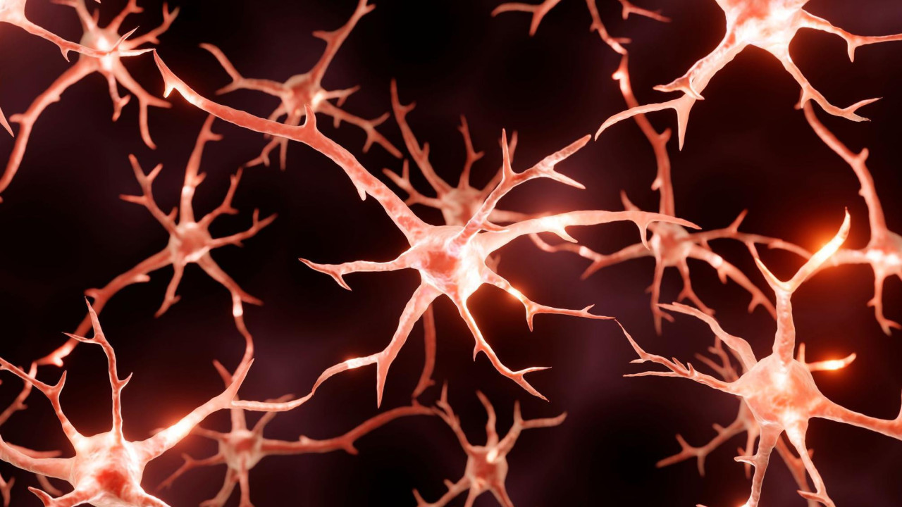 Ilustracija moždanih neurona