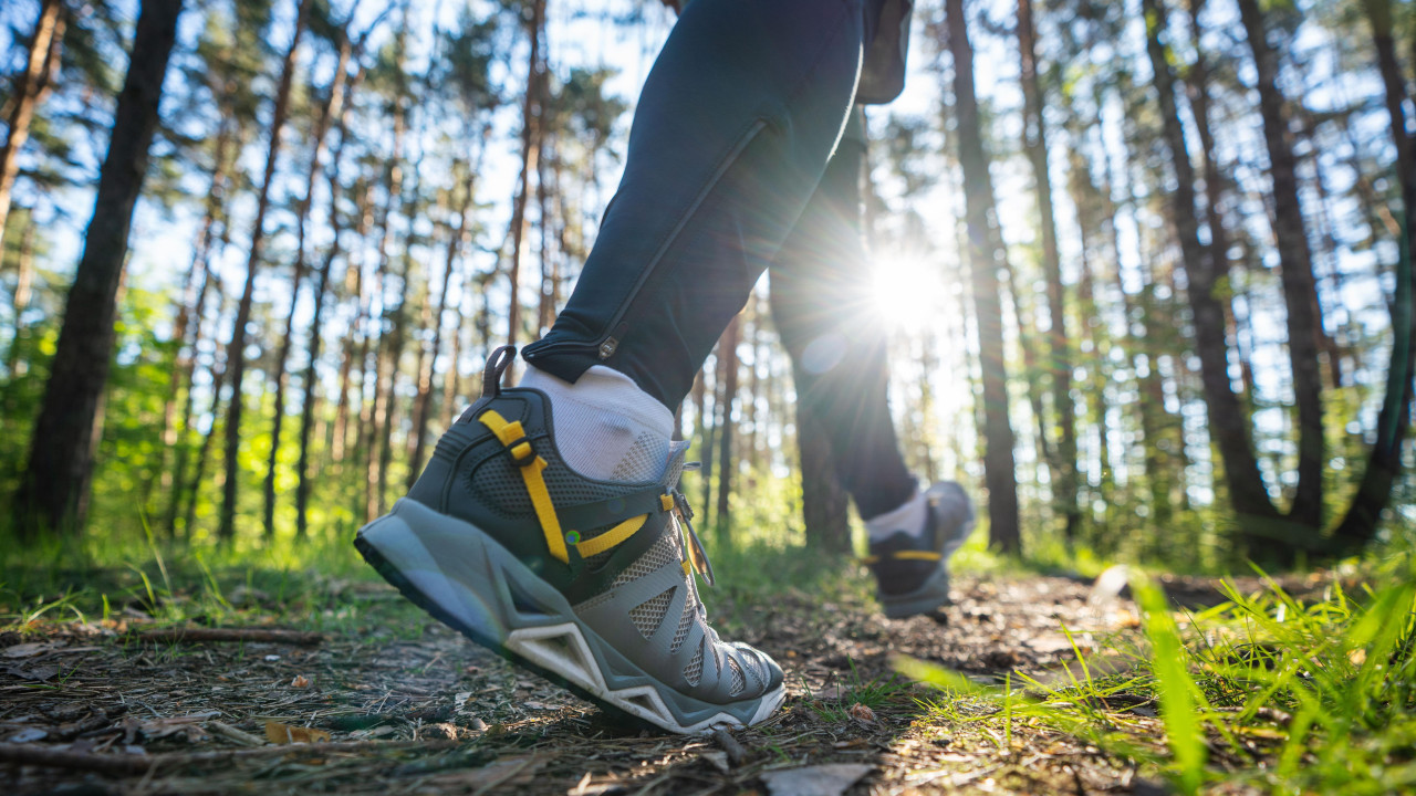 Snimak osobe u patikama kako šeta kroz šumu. Drveće u pozadini, a sunce sija 