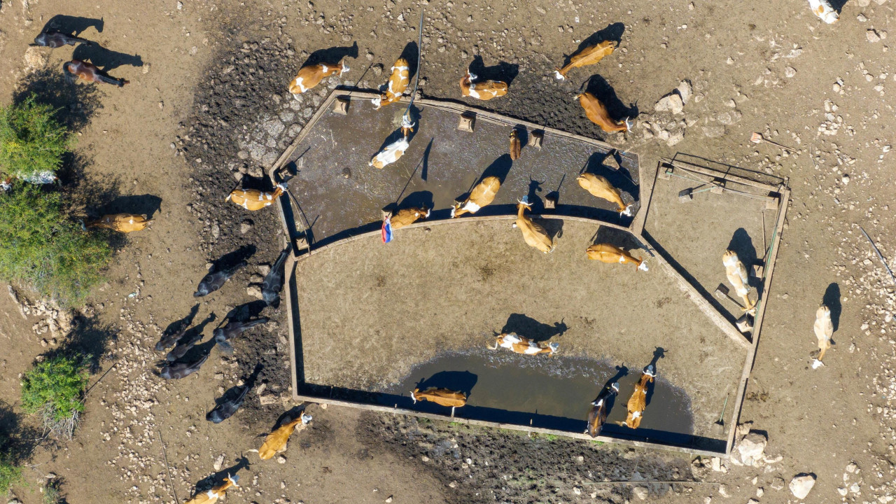 Pojilište Rakoš na Suvoj planini