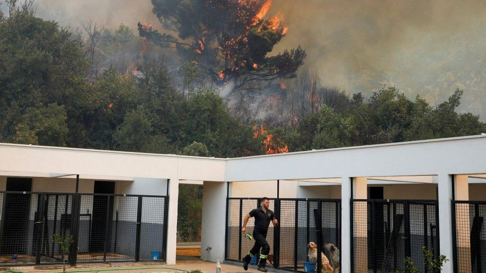požar, požar u crnoj gori