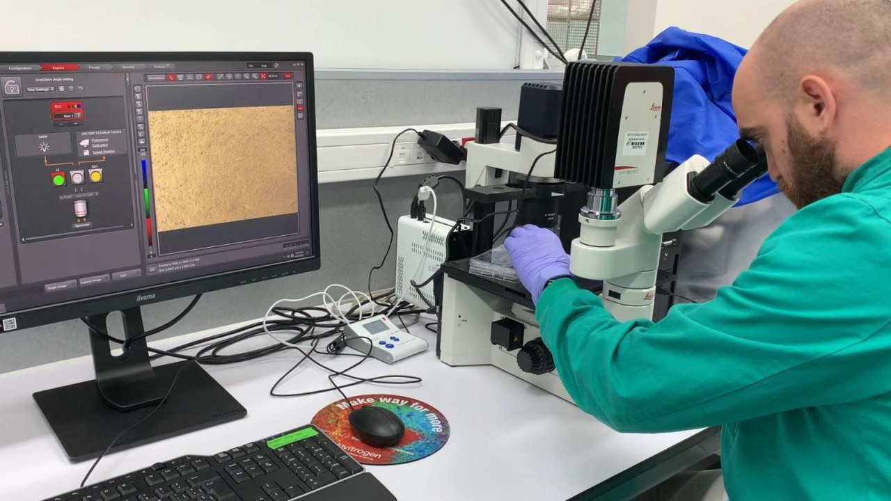 Laboratorija