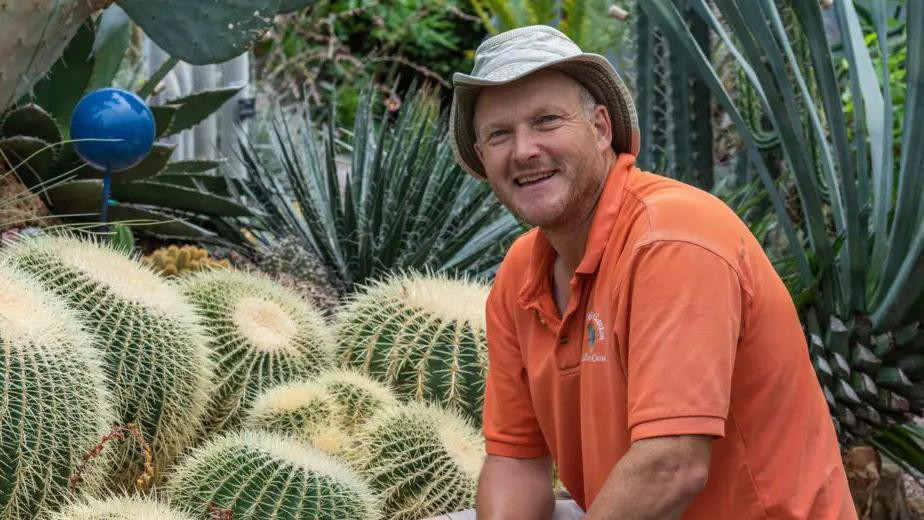 Tom u vrtu pored kaktusa