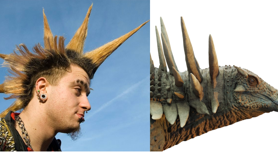 Slika pank rokera sa leve strane koji ima šiljatu kosu i crnu kožnu jaknu sa bodljama, a sa desne strane krupni plan glave novog dinosaurusa iz koje takođe vire šiljci.