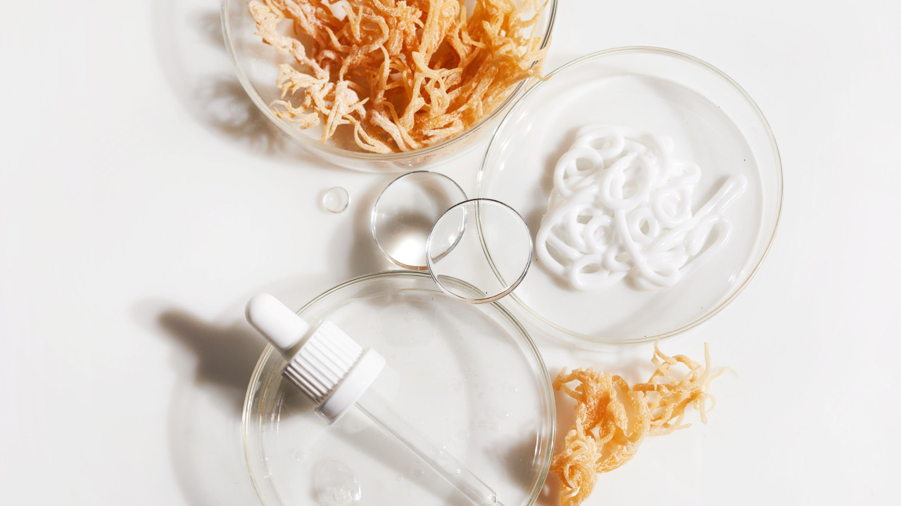 Morska mahovina, pipeta i laboratorijsko posuđe