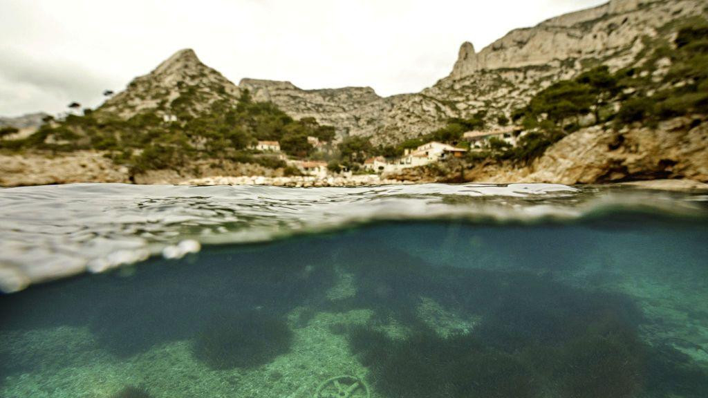 – Morske trave širom sveta se povlače zbog zagađenja koje potiče od ljudi i urbanizacije 