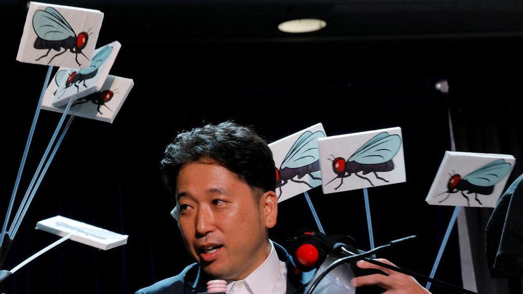 Naučnik na bini dok ga kolege napadaju lažnim mušicama