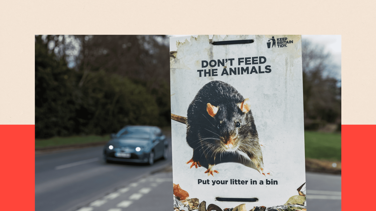 Pacov na reklami da se ne hrane životinje