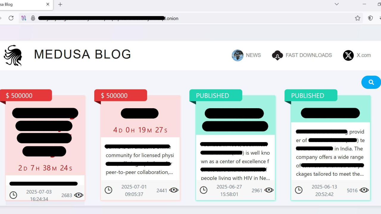 Internet stranica Meduza