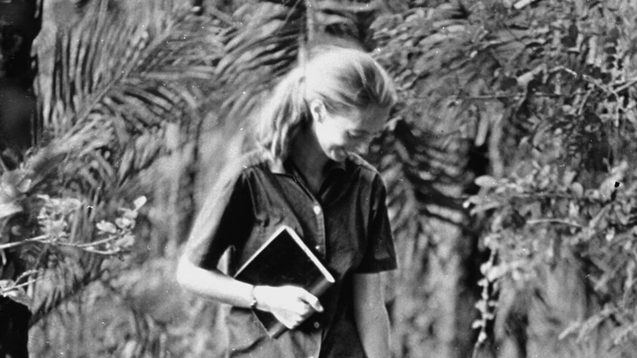 Džejn Gudal sa šimpanzom