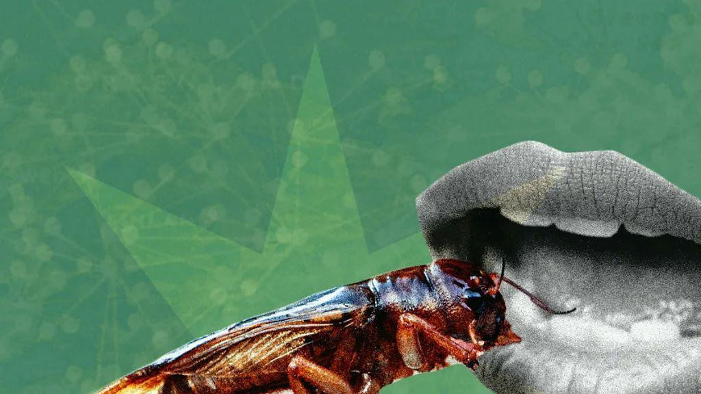 ilustracija ruka koja stavlja bubu u usta