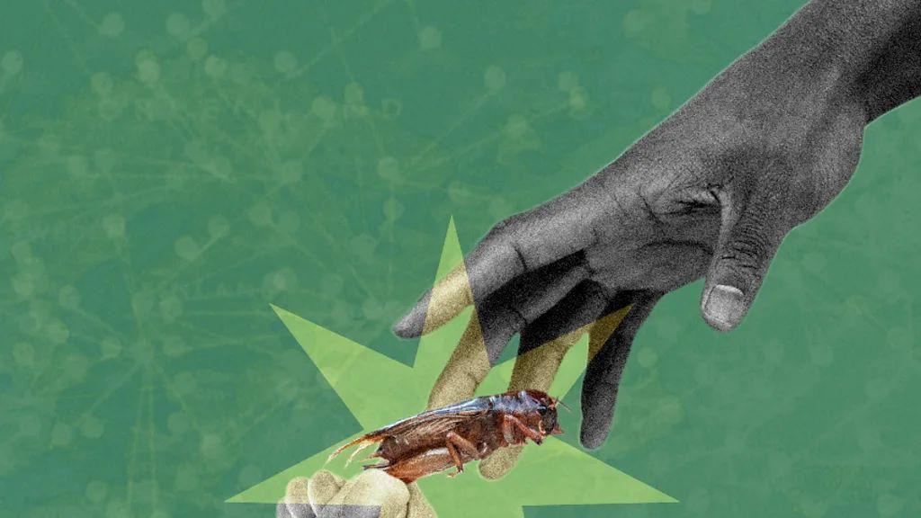 ilustracija - jedna ruka pruža drugoj ruci insekta 