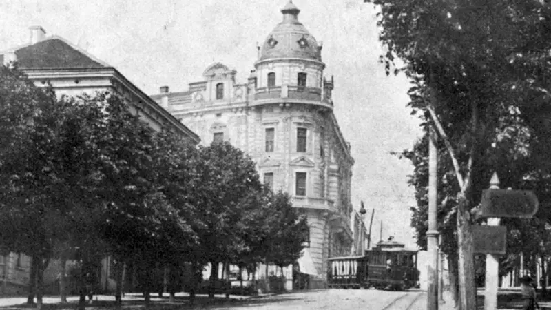 Tramvaj prolazi ulicama Beograda, okolo su drvoredi 