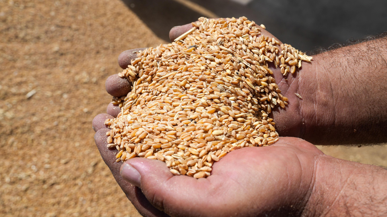 Poljoprivredna proizvodnja u Srbiji bila je lošija u Srbiji 2025.