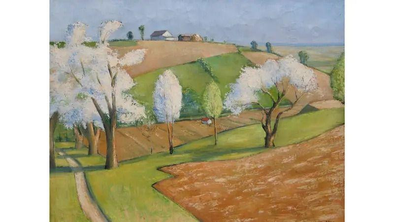 Rasvetalo drveće i zelene površine