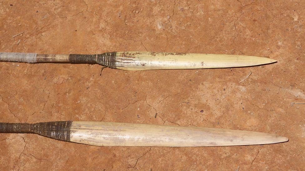 Maško Piro love u amazonskim prašumama koristeći koplja i strele