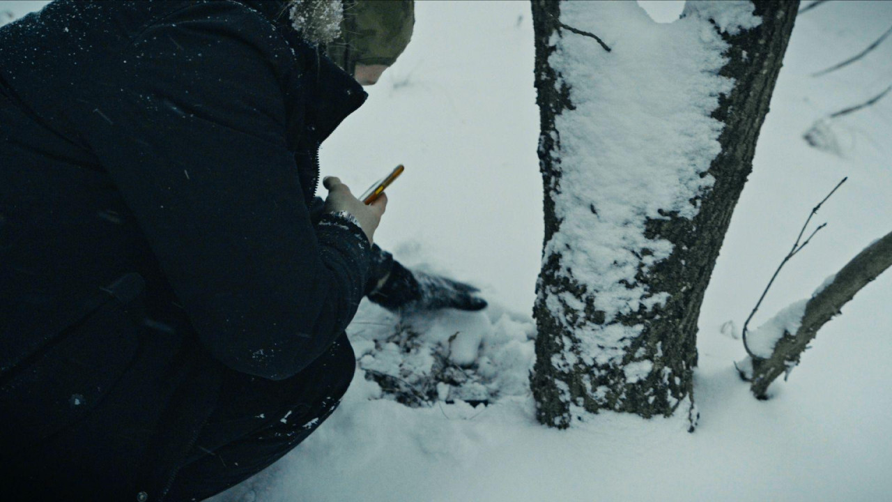 Upravo ovde, u šumskom pojasu, Maksim je pronašao prvi skriveni ulov 