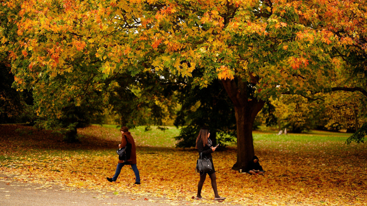 jesen, boje jeseni, dve žene šetaju u šumi tokom jeseni, lišće požutelo na drveću, požutelo lišće na drveću
