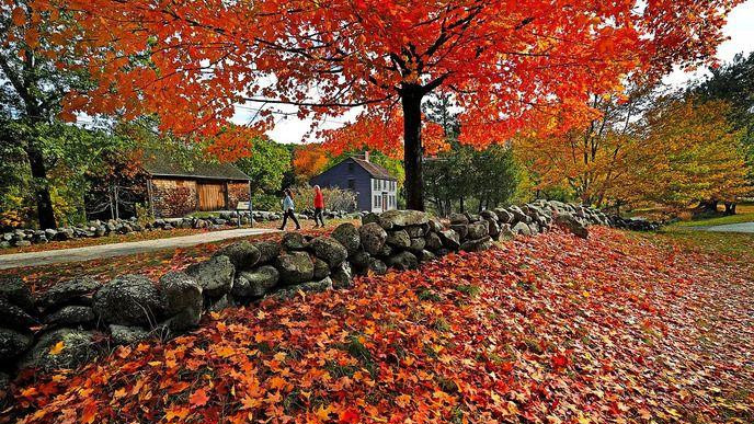 Judi šetaju pored kuće i opalog lišća crveno žute boje