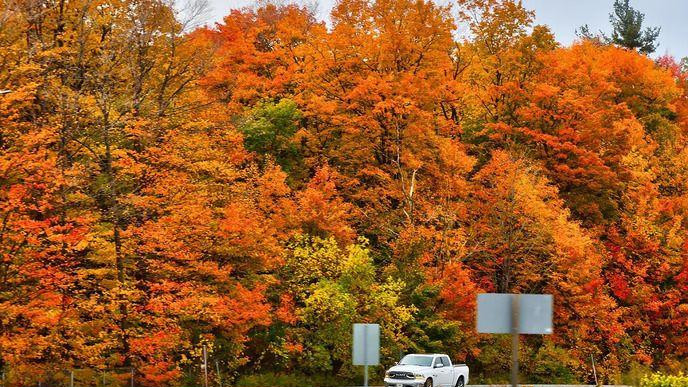 Automobil prolazi pored drveća čije je lišće crveno i žuto