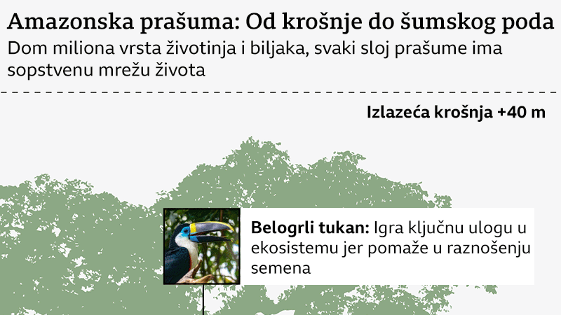 grafički prikaz biodiverziteta