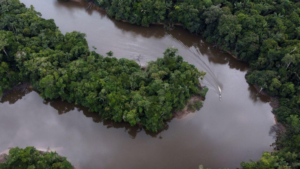 slika iz vazduha reke u Amazoniji koji protiče kroz gustu vegetaciju 