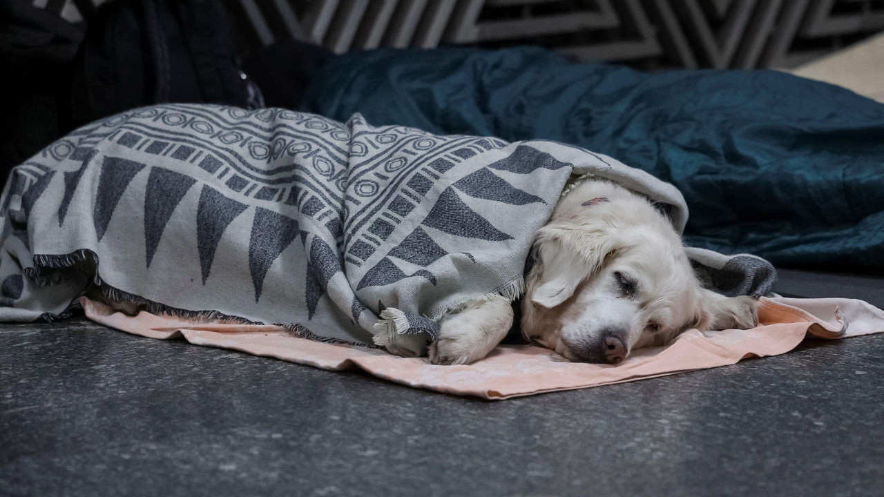 ruski napad na kijev, pas spava u metrou u skloništu
