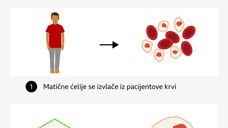 grafika sa opisom postupka genske terapije
