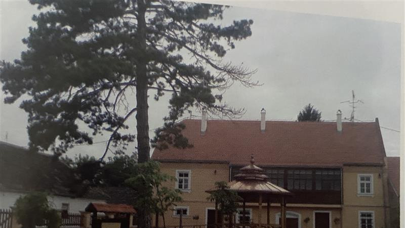 Porodična kuća Milutina Milankovića u Dalju 