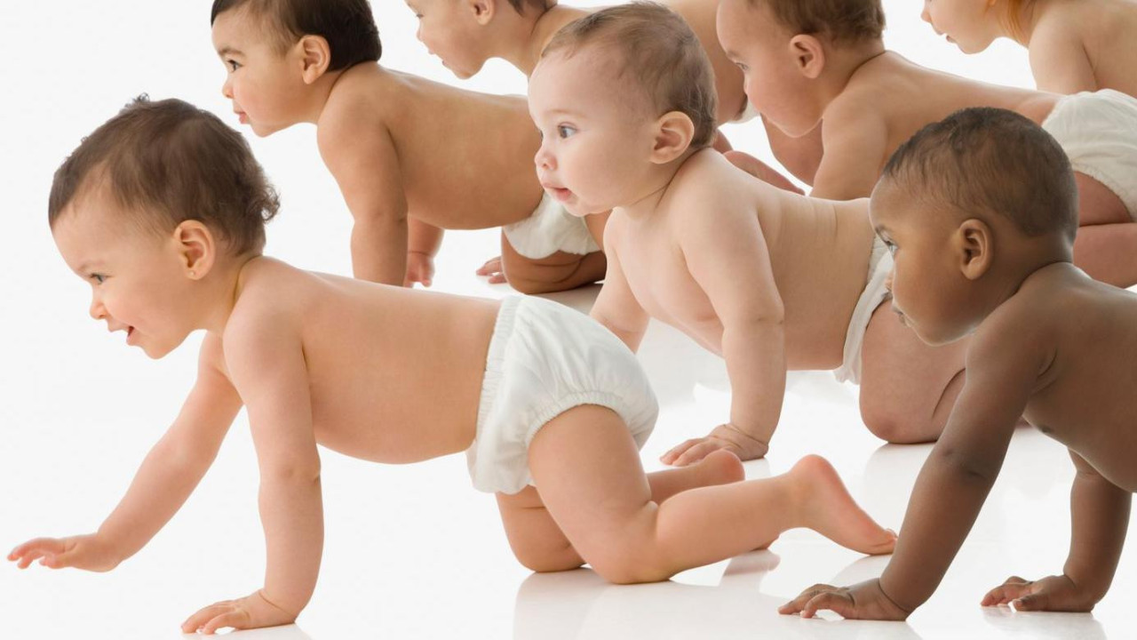 A group of babies wearing nappies crawling from right to left all looking at something off camera to the left