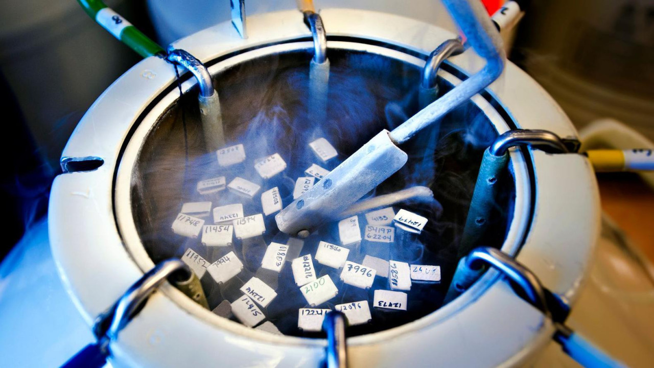 Sperm samples standing in a tank with dry ice smoke coming out of it
