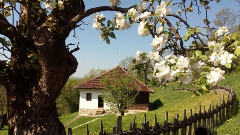 Dvorište i kuća Mišića