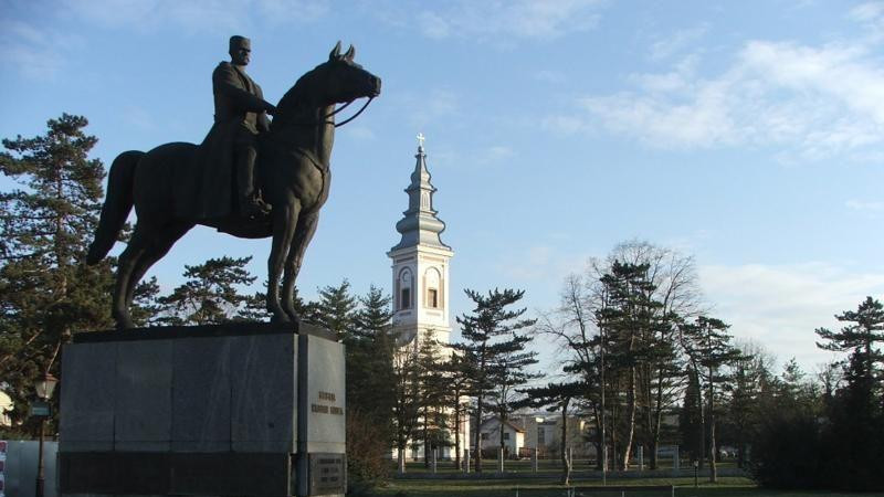 U Mionici se svake godine održava manifestacija Mišićevi dani