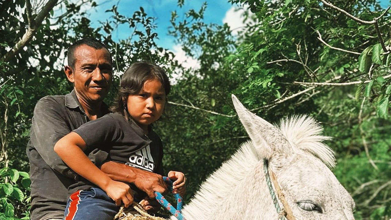 Anin otac se osmehuje dok on i Ana jašu belog konja. Ana nosi teget trenerku i crnu Adidas majicu, a njen otac tamnu košulju i žute pantalone.