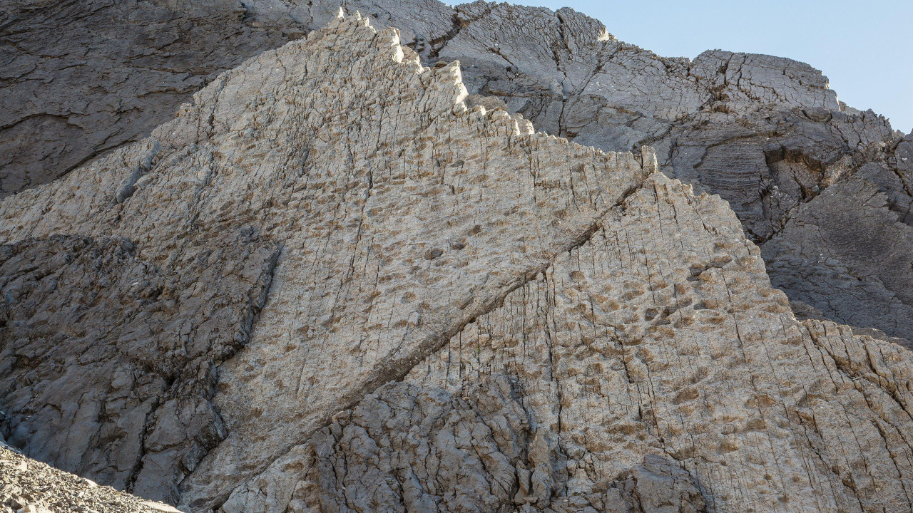 Planinska stena prekrivena otiscima dinosaurusa