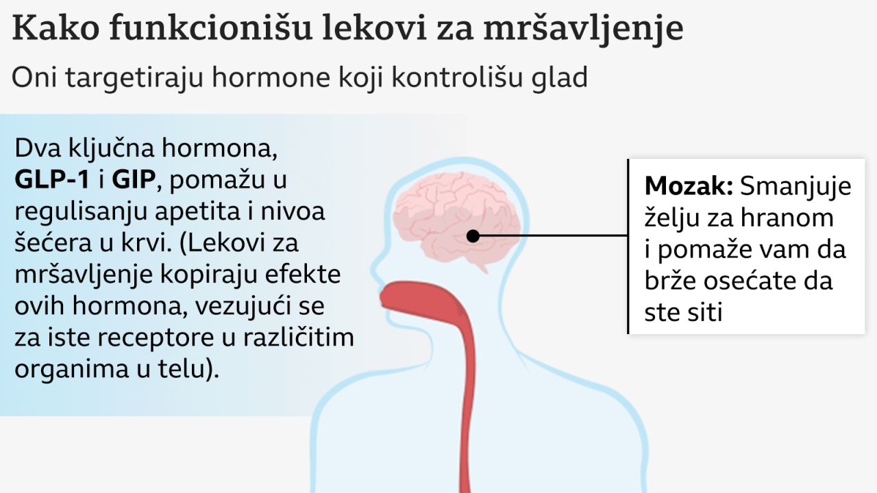 Grafika na kojoj je prikazana unutrašnjost ljudskog tela - kako deluje na probavni sistem injekcija