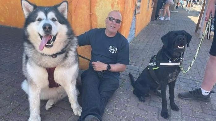 Mal, aljaski malamut težak 82 kilograma