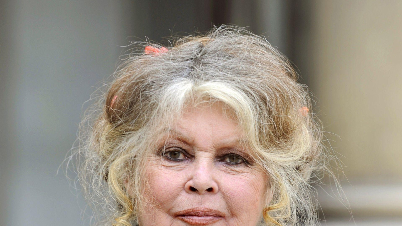 Na fotografiji ispred Jelisejske palate, Bardo je prikazana u crnom odelu, sa plavom kosom koja se lagano posvetlila.