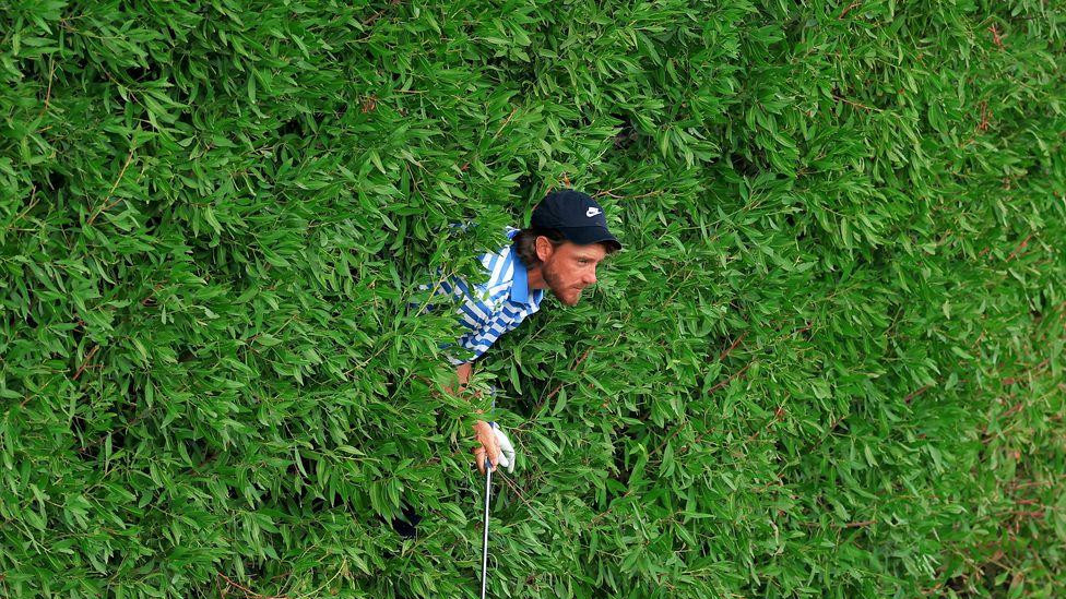 Golfer Tomi Flitvud, delimično skriven u gustom zelenom lišću, sprema se da udari lopticu. Golfer nosi prugastu majicu i kačket, držeći palicu koja viri kroz lišće.